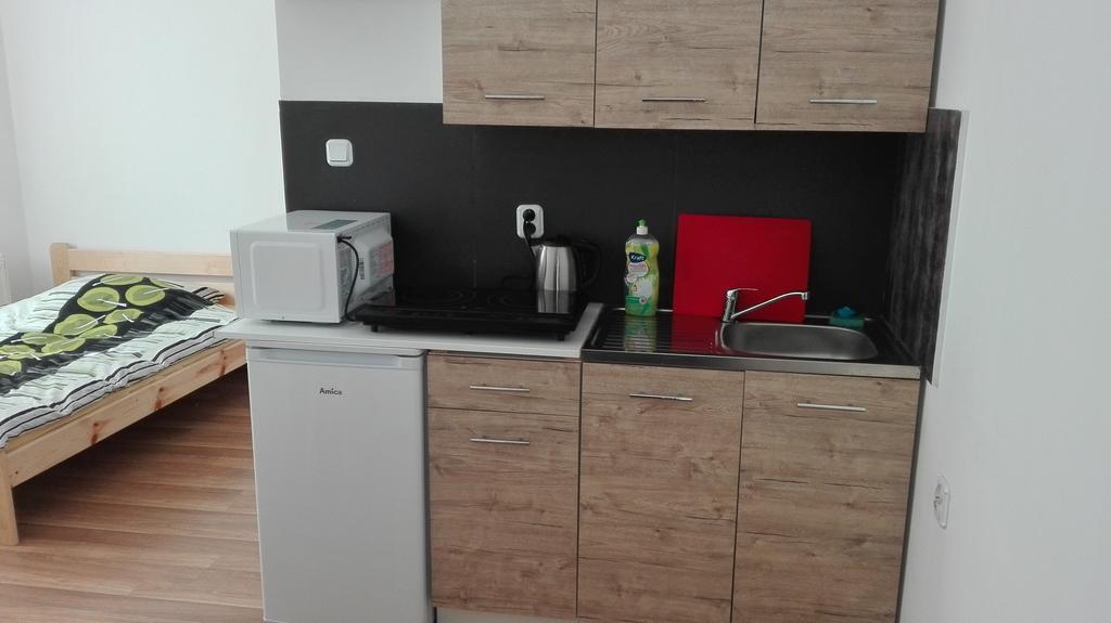 Pokoje Typu Studio Sosnowiec Exteriör bild