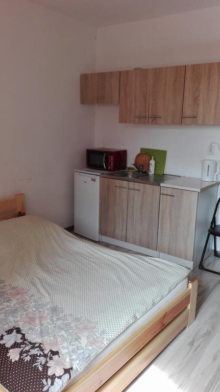 Pokoje Typu Studio Sosnowiec Exteriör bild